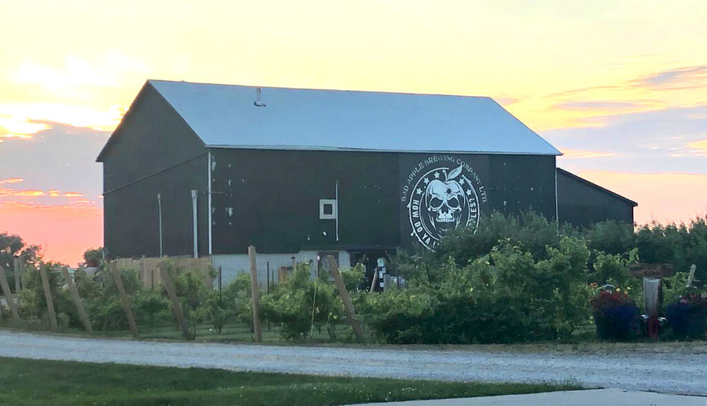 Bad Apple Brewing Company - Large building located among the trees of an apple orchard. Located at 73463 Bluewater Hwy., Zurich, On, N0M 2T0